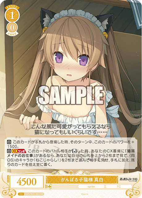 がんばる子猫様 真白