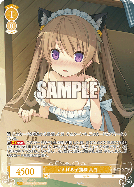 がんばる子猫様 真白