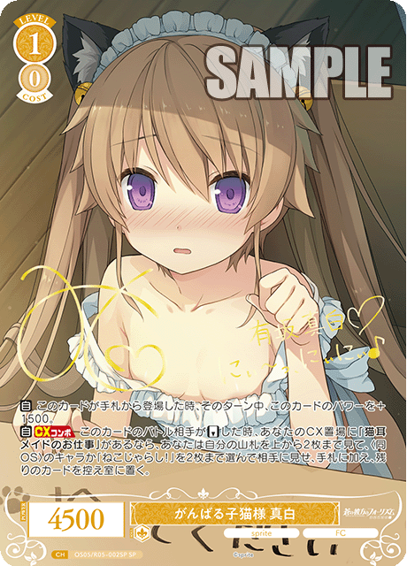 がんばる子猫様 真白