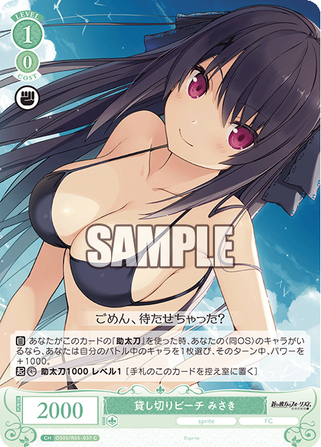 貸し切りビーチ みさき