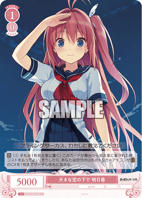 大きな空の下で 明日香