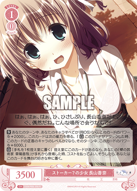 ストーカー？の少女 長山香奈