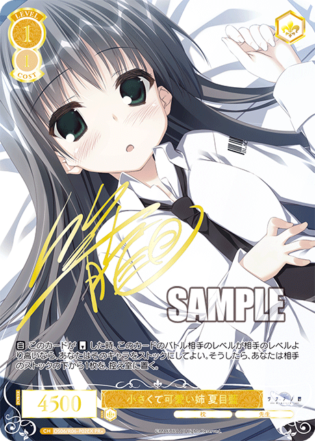 小さくて可愛い姉 夏目藍