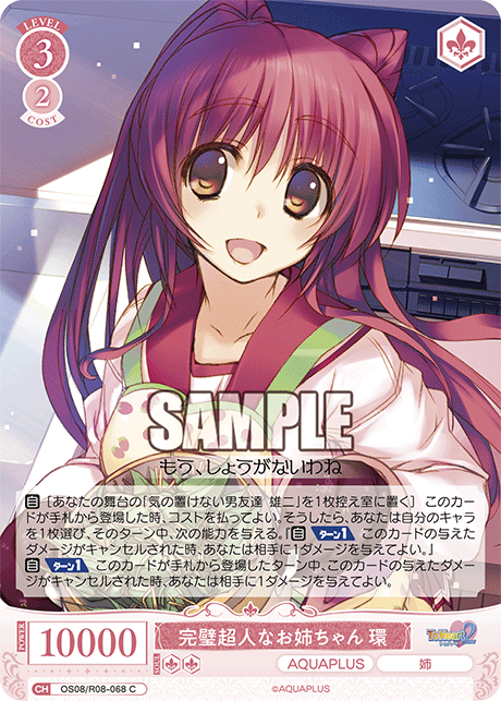 完璧超人なお姉ちゃん 環