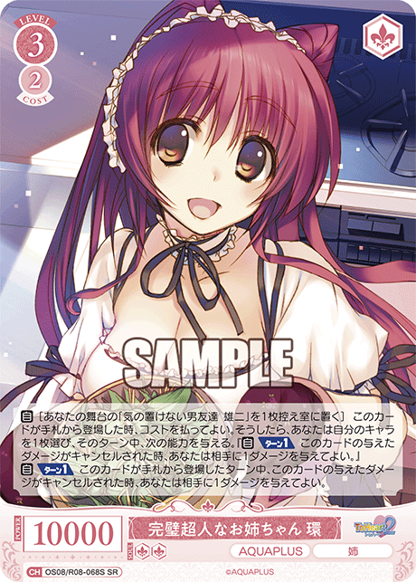 完璧超人なお姉ちゃん 環