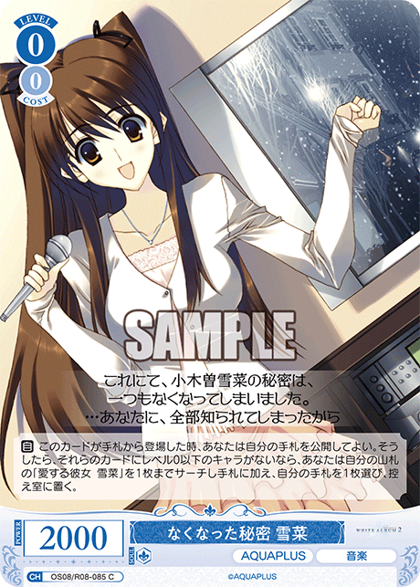 なくなった秘密 雪菜