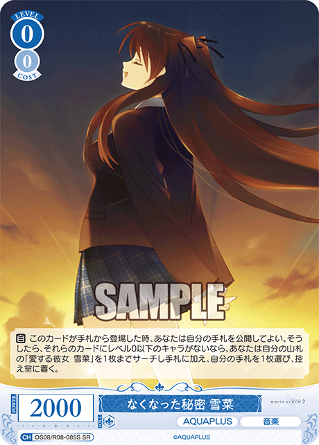 なくなった秘密 雪菜